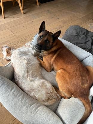 Prune et Paco