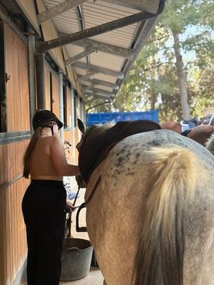 Les chevaux sont une passion 😍