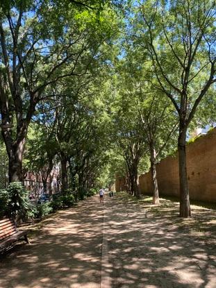 Promenade Raymond VI