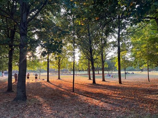 Parc de la Tête d’Or, 10min de marche de l’appartement