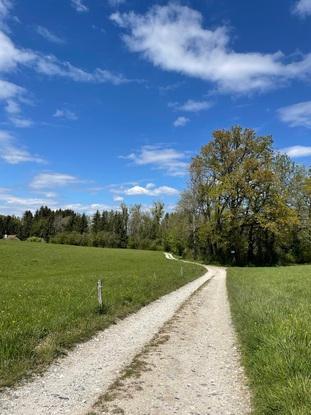 Balades aux alentours