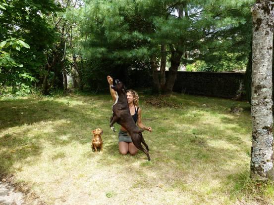 A jouer dans le jardin (derrière la maison) avec Mia et Guiness :)
