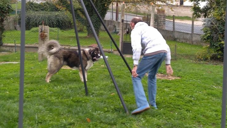 On s'éclate dans le jardin....
