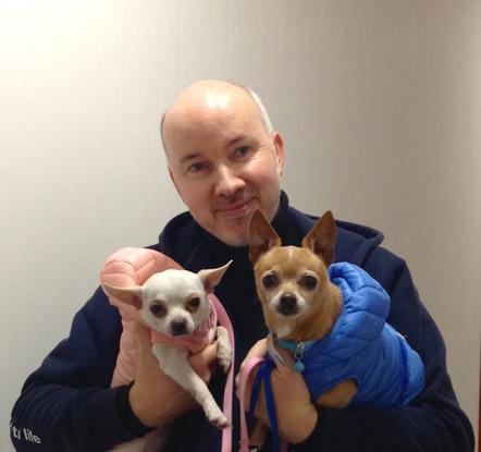 Molly et Salto, 2 petits chihuhas en garde pour la journée