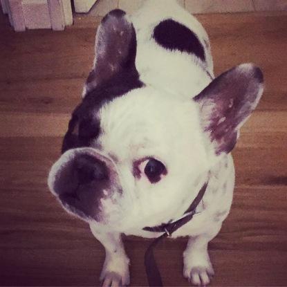 Coclico, trop chou !!