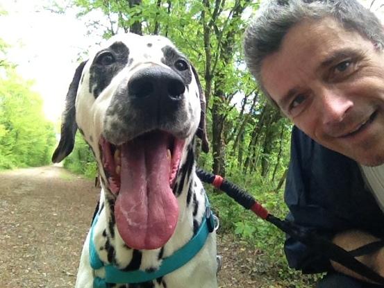 Diabolo, de la SPA. Le caractère d'un...dalmatien. Il s'est beaucoup assagi depuis nos 2 ans de travail ensemble.