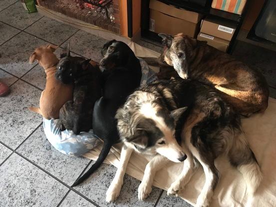 Tous ensemble  😊