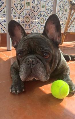 Pancho