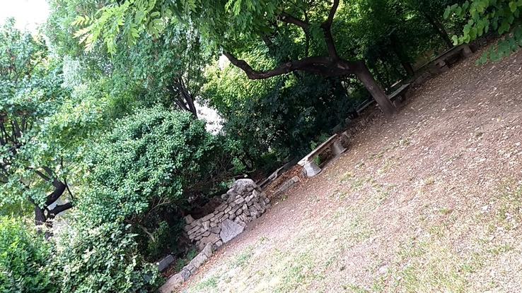 La cour extérieure avec beaucoup d'arbres