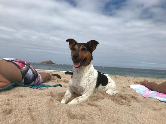 Iwo à la plage :)