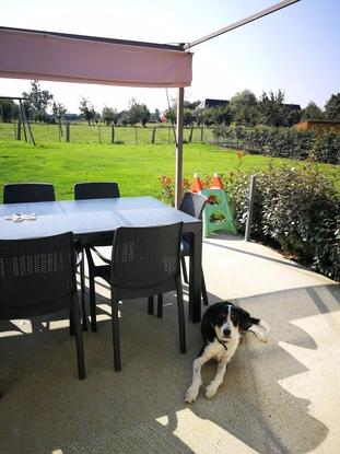 Tranquille sur la terrasse 