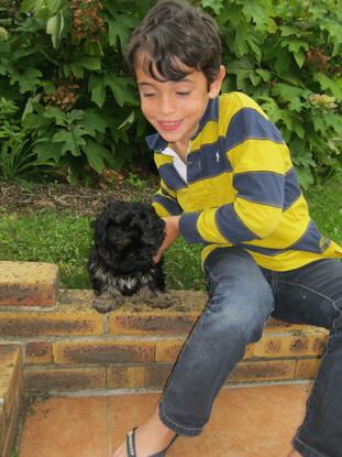 Mon fils...