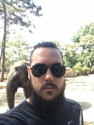 Zoo de la palmyre