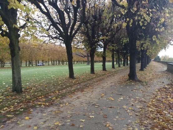 Parc observatoire de Meudon