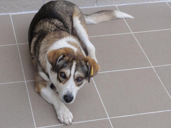 Garde de Nala chez elle pendant un week-end 