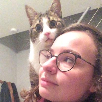 Ponyo joue à chat perché