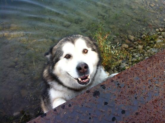 Ma belle Dushka toujours à fond et motivée !