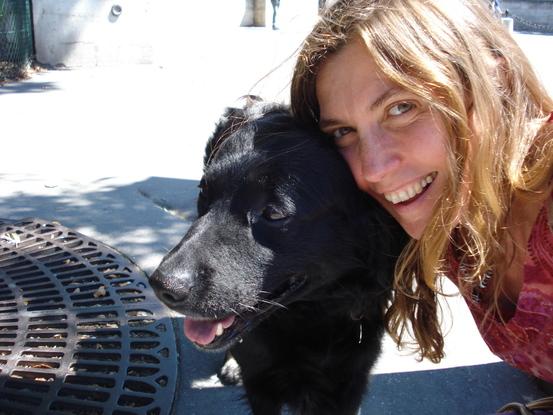 Goliath, un chien de berger exceptionnel! Mon premier chien de dog-sitter! Sorti 2 ans