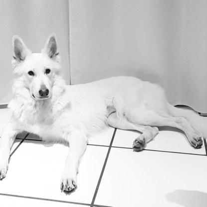 Laska ma fifille 3ans