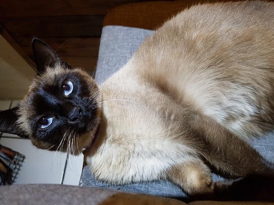 Mimi 6ans