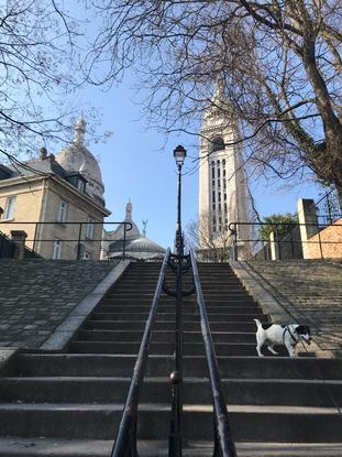 Chemin préféré 