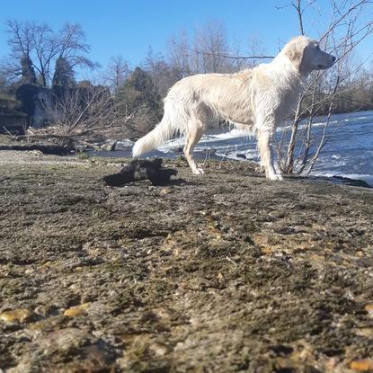 Maydie à la baignade 