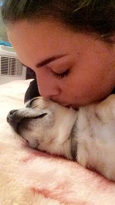 Mon amour de chien 
