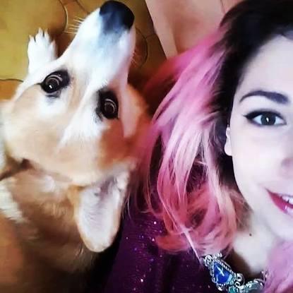 Le plus doux de tous les corgis ♥