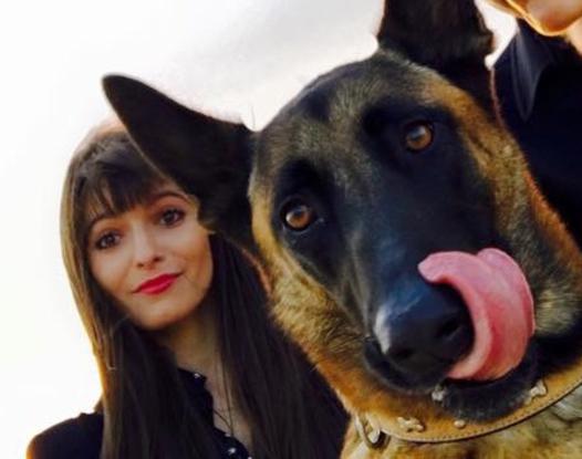 il a insisté pour prendre une photo... 🐶🐕 chien photogénique ! 