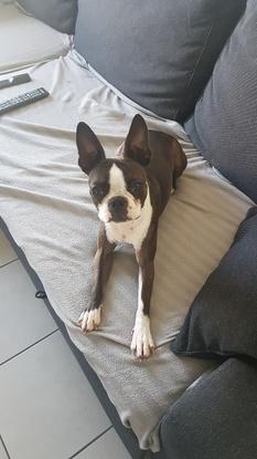 Nolita 10 jours de garde adorable des bons moments passer avec elle