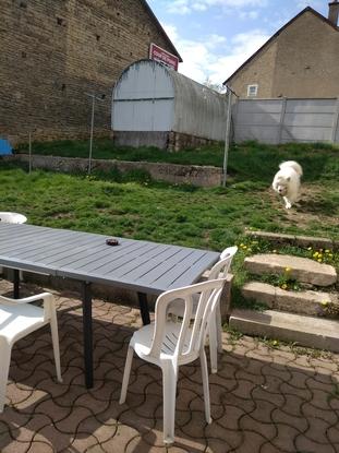 Le jardin