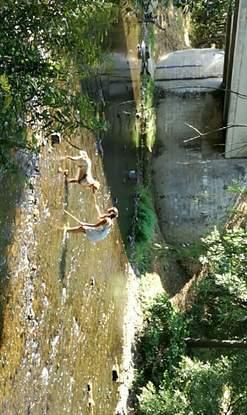 Roocky en balade dans la rivière 