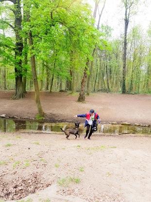 Education et ballade au bois de Vincennes 