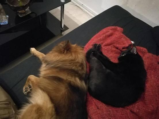 Bella et Pi 
