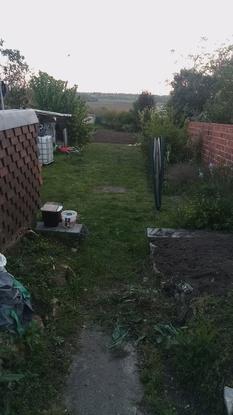 Le jardin de tout les plaisirs, de sacrée parties de jeux en perspective