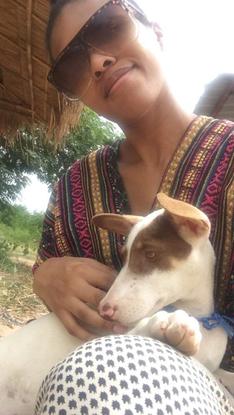 Lors d'une excursion dans un centre de soins pour éléphant en Thaïlande ! Le patron récupérait aussi les chiens abandonnés de Pattaya 