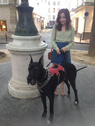 À l’aise même avec les grands chiens