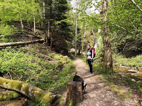 Promenade en forêt :)