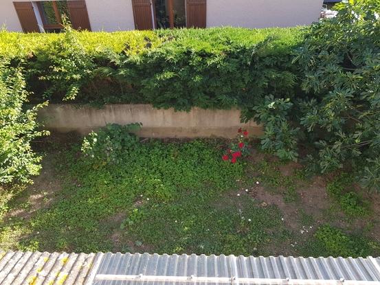 Jardin clôturé arrière 