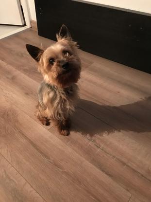 Et voici mon petit Busner! 