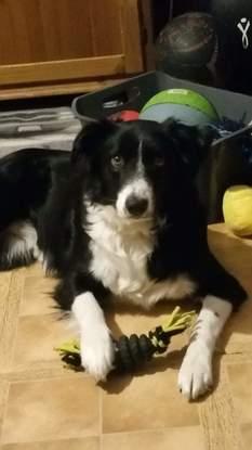 Mya