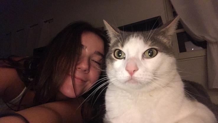J’aime aussi les chats 