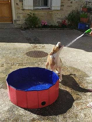 On s'amuse dans la piscine et avec le jet d'eau dans la cours commune