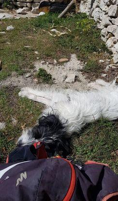 Sieste après randonnée
