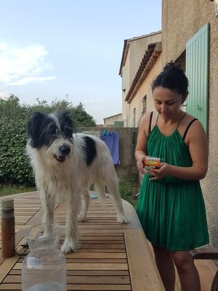 Brossage en cours !