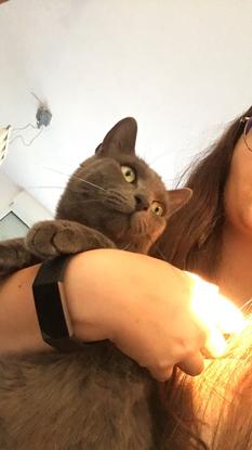 Garde du chat d’une amie