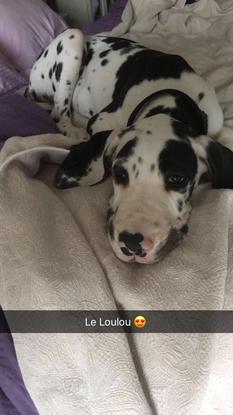 L’heure de la sieste 😴 