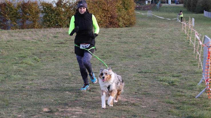 Cani cross avec une de mes chiennes 