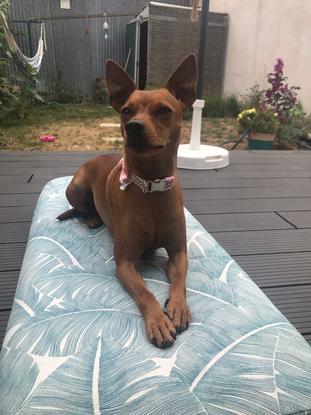 La belle kiara en 