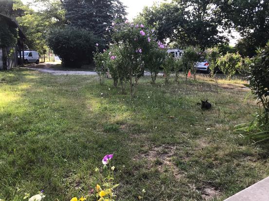 Jardin devant la maison